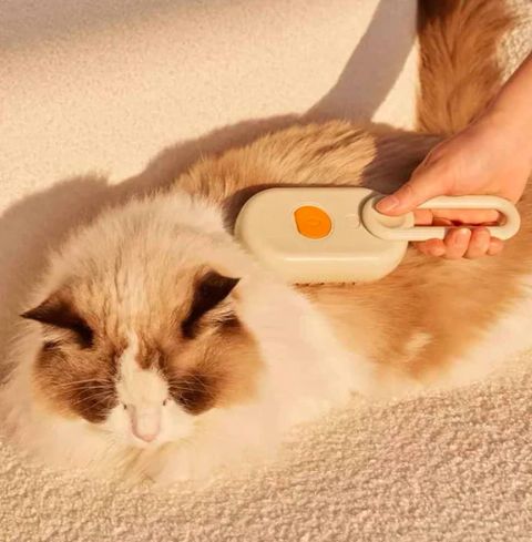 🐾 Japanese Brush™